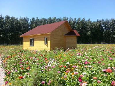 造型藝術(shù)與實用價值 花卉與蔬菜的種植造型新趨勢